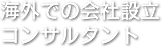 海外での会社設立コンサルタント